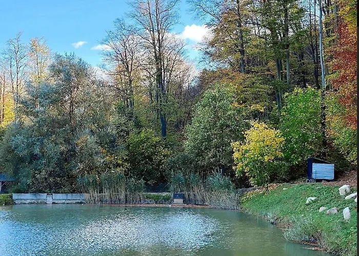 Готель Orlyne Gnizdo